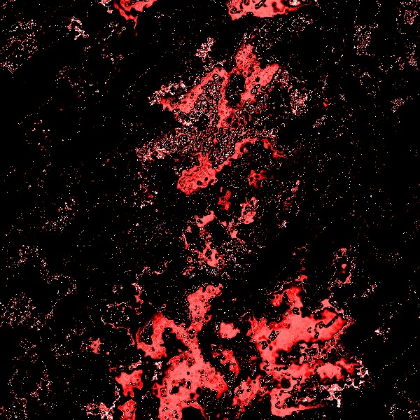 Demonic Skulls DAO banner